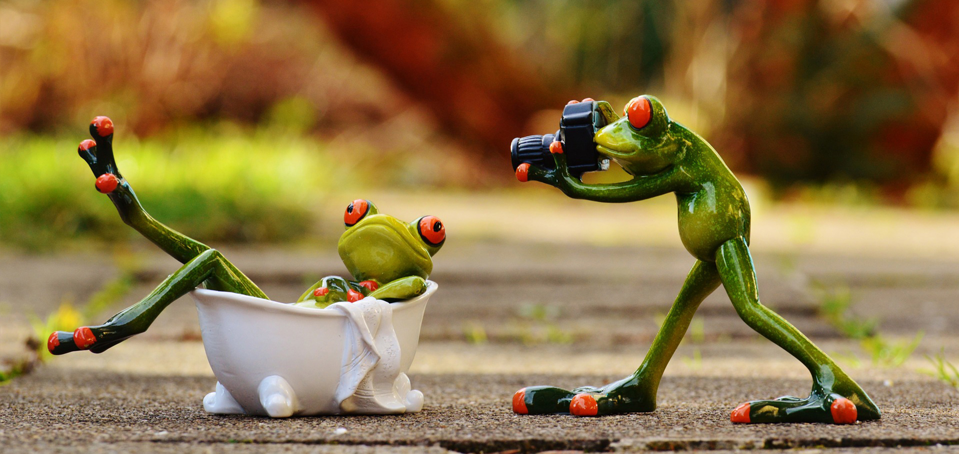 Fotogroda 5